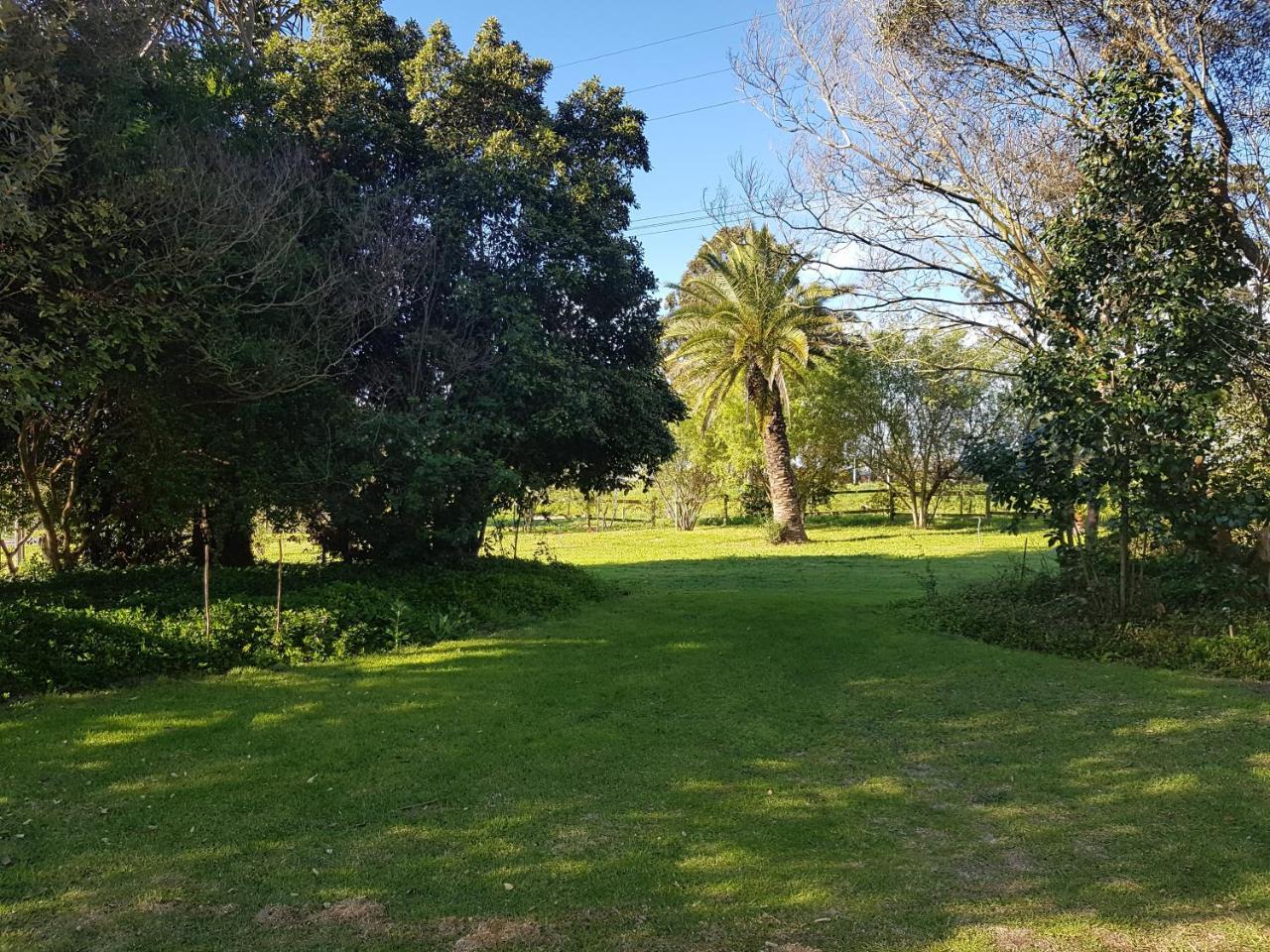 Te Amo Guesthouse Stellenbosch Exterior foto